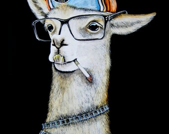 May include: A white llama wearing a blue and orange baseball cap with the text "Social Cycling Austin" on it. The llama is also wearing round, black-rimmed glasses and has a cigarette in its mouth. The llama is wearing a chain necklace around its neck.