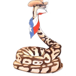 May include: A cartoon illustration of a snake wearing a cowboy hat and a bandana with a Texas flag design. The snake is coiled up and has a cigarette in its mouth.