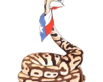 May include: A cartoon illustration of a snake wearing a cowboy hat and a bandana with a Texas flag design. The snake is coiled up and has a cigarette in its mouth.