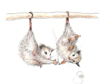 May include: An illustration of two opossums hanging upside down from a wooden branch. The opossums are drawn in a detailed, realistic style with gray and white fur, and are interacting with each other.