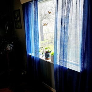 Puede incluir: Cortinas azules transparentes cuelgan en una ventana con vista a un césped verde y árboles. Dos pequeños pájaros de madera cuelgan de la parte superior de la ventana. Una planta en maceta se encuentra en el alféizar de la ventana.