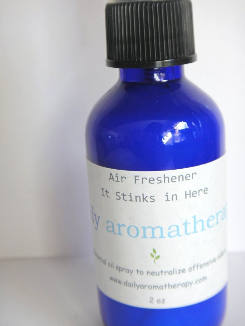 It Stinks in Here air freshener Aromatherapy Spray to Neutralize Odors Lemon, Lemongrass, Eucalyptus Citriodora, Lavender, Lime image 1
