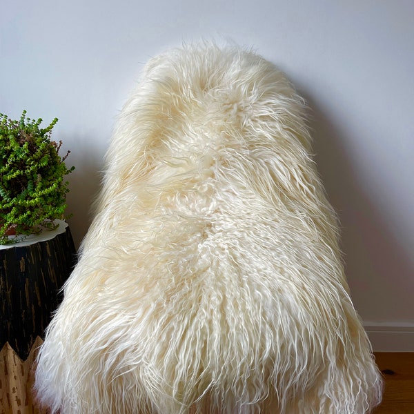 Grand et luxueux tapis XXL en peau de mouton d'Islande véritable, fourrure longue bouclée de mouton de couleur crème/ivoire