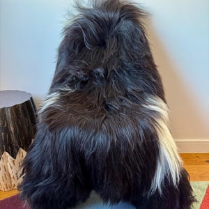 XXL Large Luxurious Genuine Icelandic Sheepskin Rug Long Fur/Wool In Natural Undyed White/Ivory/Black Color