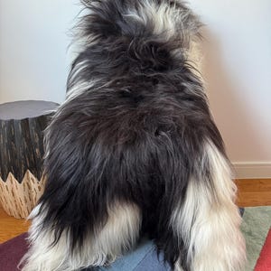XXL Large Luxurious Genuine Icelandic Sheepskin Rug Long Fur/Wool In Natural Undyed White/Ivory/Black/Very Dark Brown Color
