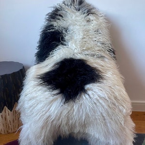 XXL Large Luxurious Genuine Icelandic Sheepskin Rug Sheep Long Curly Fur In Natural Off White/Ivory/Beige/Cream and Black Color