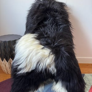 XXL Large Luxurious Genuine Icelandic Sheepskin Rug Long Fur/Wool In Natural Undyed White/Ivory/Black Color
