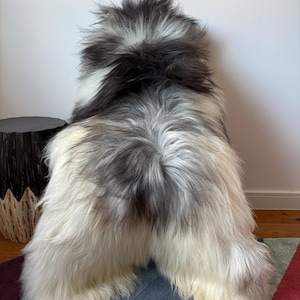 XXL Large Luxurious Genuine Icelandic Sheepskin Rug Long Fur/Wool In Natural Undyed White/Ivory/Black/Dark Brown Color