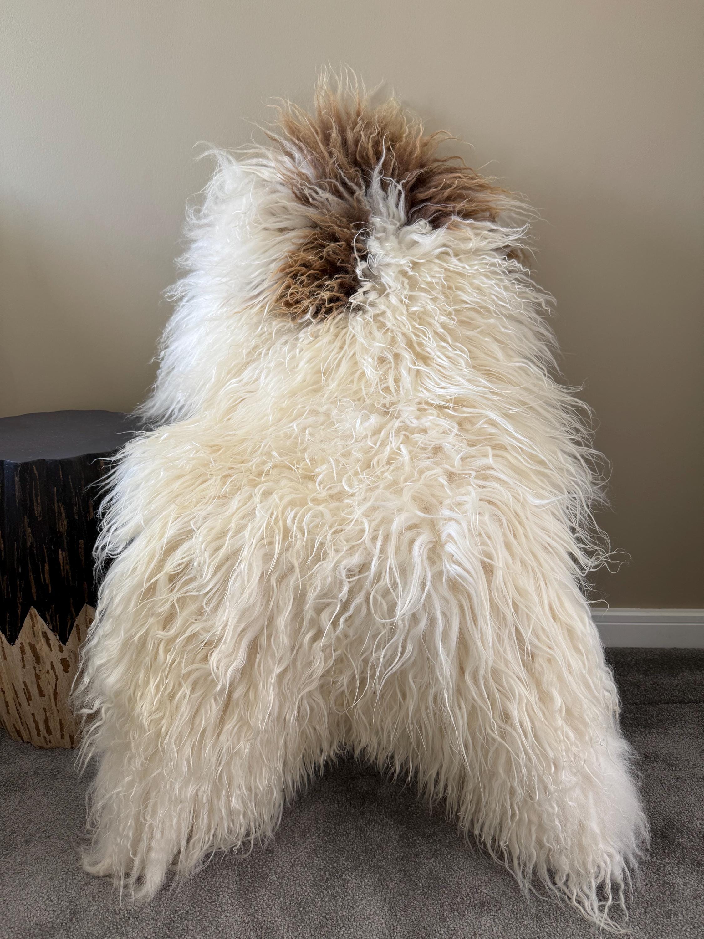 XXL Large Luxurious Genuine Icelandic Sheepskin Rug Sheep Long Curly Fur In Natural Champagne/Off White/Ivory and Honey Brown Color