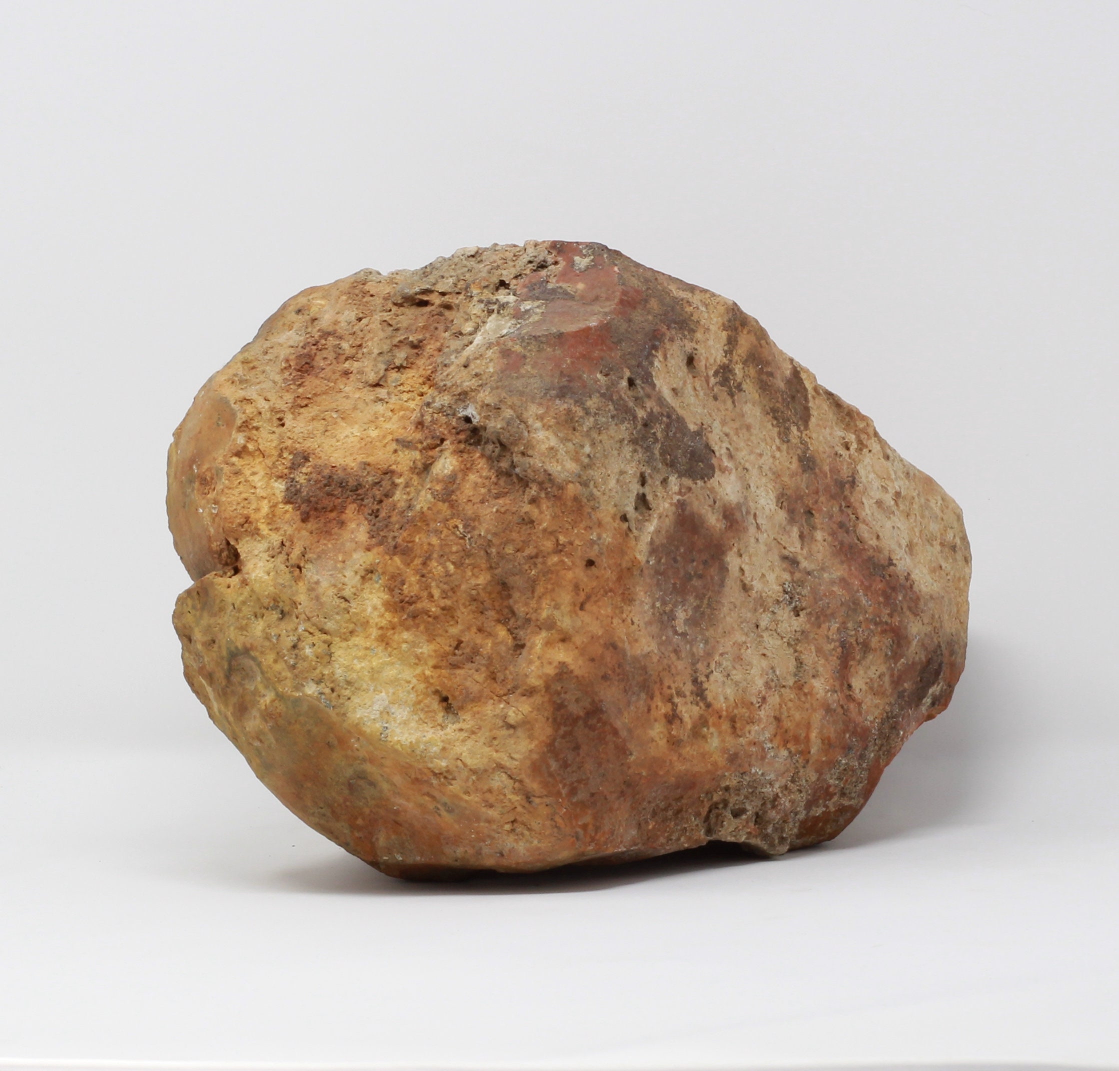 巨大な研磨された珪化木コレクター展示標本 8.6 kg - Etsy 日本