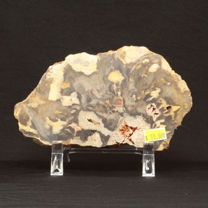 Large Genuine Peanut Wood Jasper Specimen 368g image 3