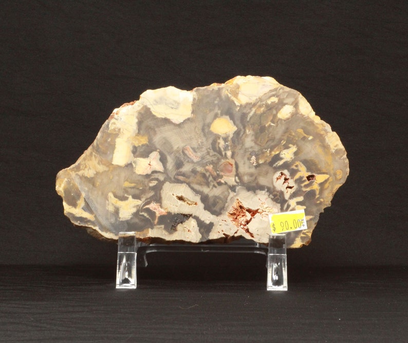 Large Genuine Peanut Wood Jasper Specimen 368g image 3