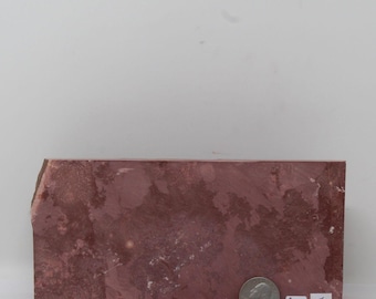 May include: A rectangular slab of reddish-brown stone with a mottled, uneven surface texture. A silver-colored United States quarter coin is placed on the bottom right corner for scale, next to a small white label with the text #134- F.