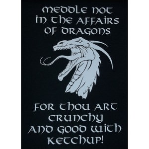 Celtic Dragon Affairs T-Shirt WH
