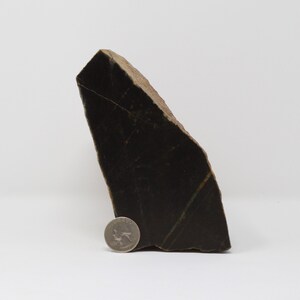 Può includere: Un grande sasso verde scuro e nero con una forma irregolare e ruvida. Il sasso è circa delle dimensioni di una moneta da un euro.