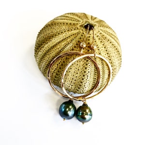May include: Gold hoop earrings with a dark green pearl dangling from each hoop. The earrings are displayed on a sea urchin.