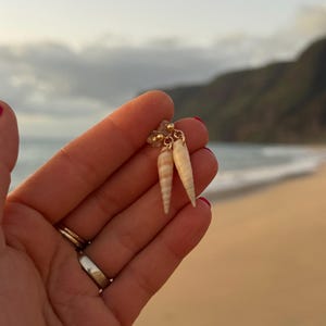 May include: A pair of dangle earrings featuring two small, cream-colored, cone-shaped seashells suspended from gold-toned metal findings. The shells have a smooth, tapered appearance with subtle, light brown horizontal banding patterns.
