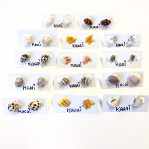 Hand picked Kauai shell stud earrings
