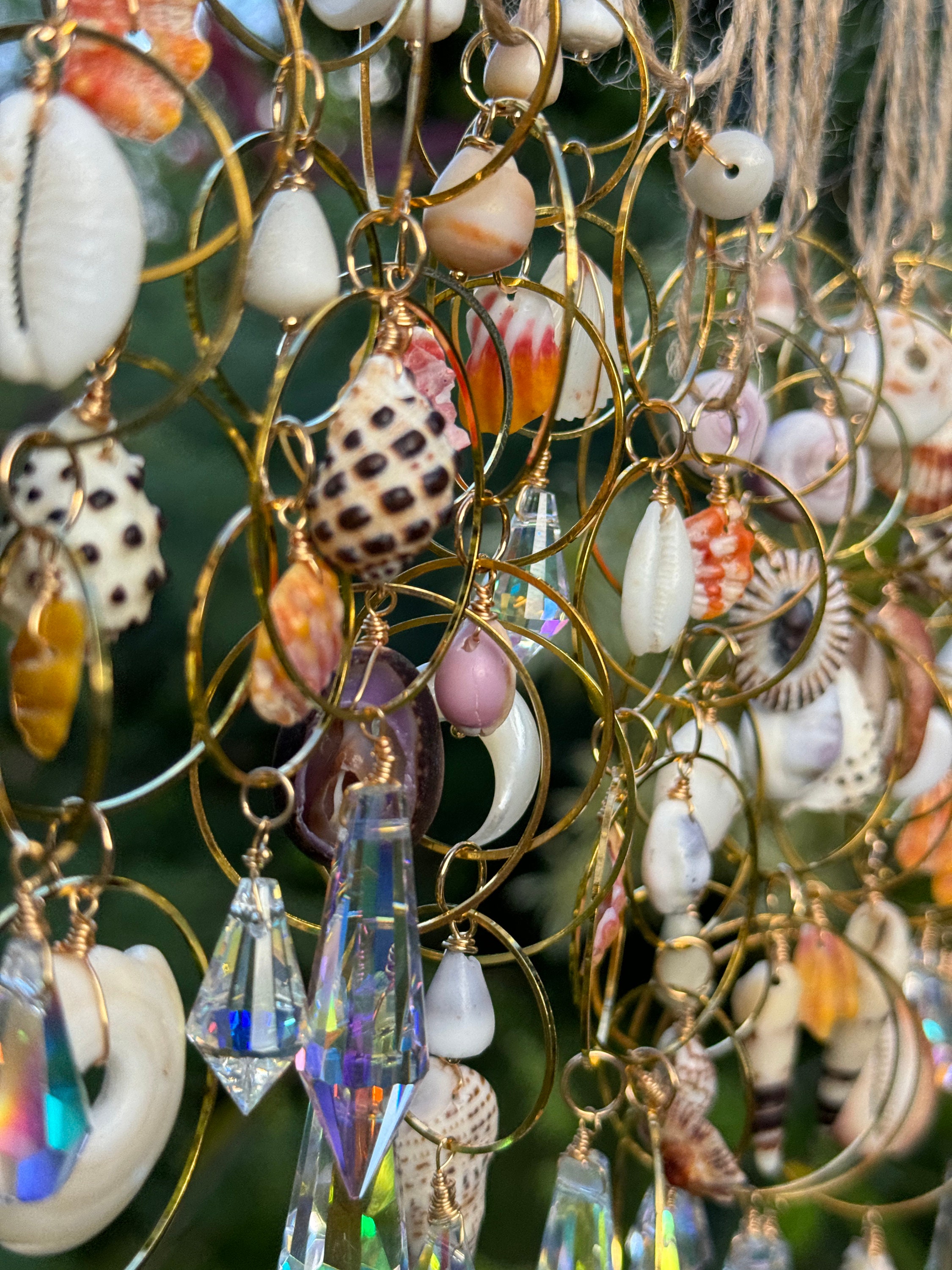 Kauai Shell Sun Catchers - Etsy