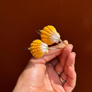 Kauai sunrise shell bracelet