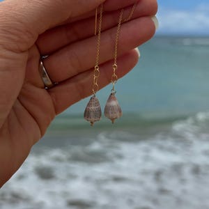 May include: Gold dangle earrings with a small seashell charm. The seashells are a light brown color with a speckled pattern.