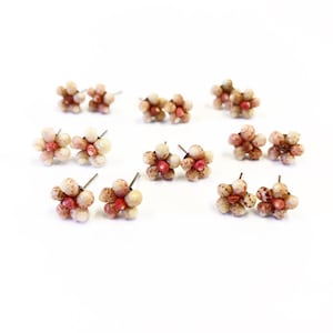 Kauai Kahelelani shell studs