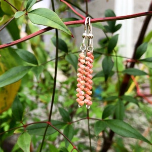 Kahelelani shell bar earrings in 14k gold fill or sterling silver