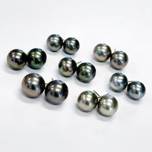 Tahitian or Edison pearl studs in 14k gold fill