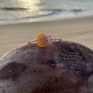 May include: A seashell ring with a copper band. The ring features a small, vibrant, orange and yellow seashell. The ring is resting on a dark brown, textured surface, with a beach and ocean in the background.