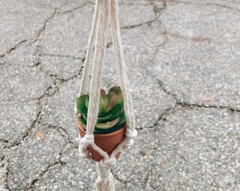 Mini Plant Hanger On Hook- Stocking Stuffer