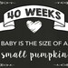 Pregnancy Week by Week - Printable Pregnancy Signs - Weekly Pregnancy ...