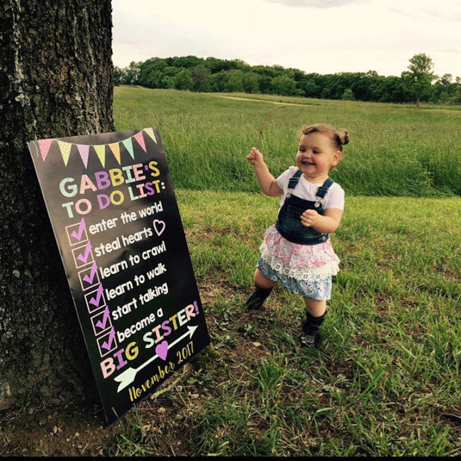 Big Sister Announcement Pregnancy Announcement Big Sister Etsy