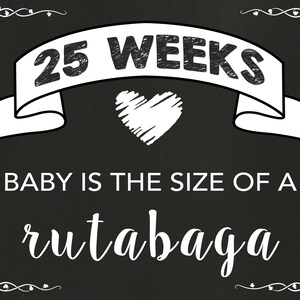 Pregnancy Week by Week - Printable Pregnancy Signs - Weekly Pregnancy ...