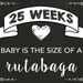 Pregnancy Week by Week - Printable Pregnancy Signs - Weekly Pregnancy ...