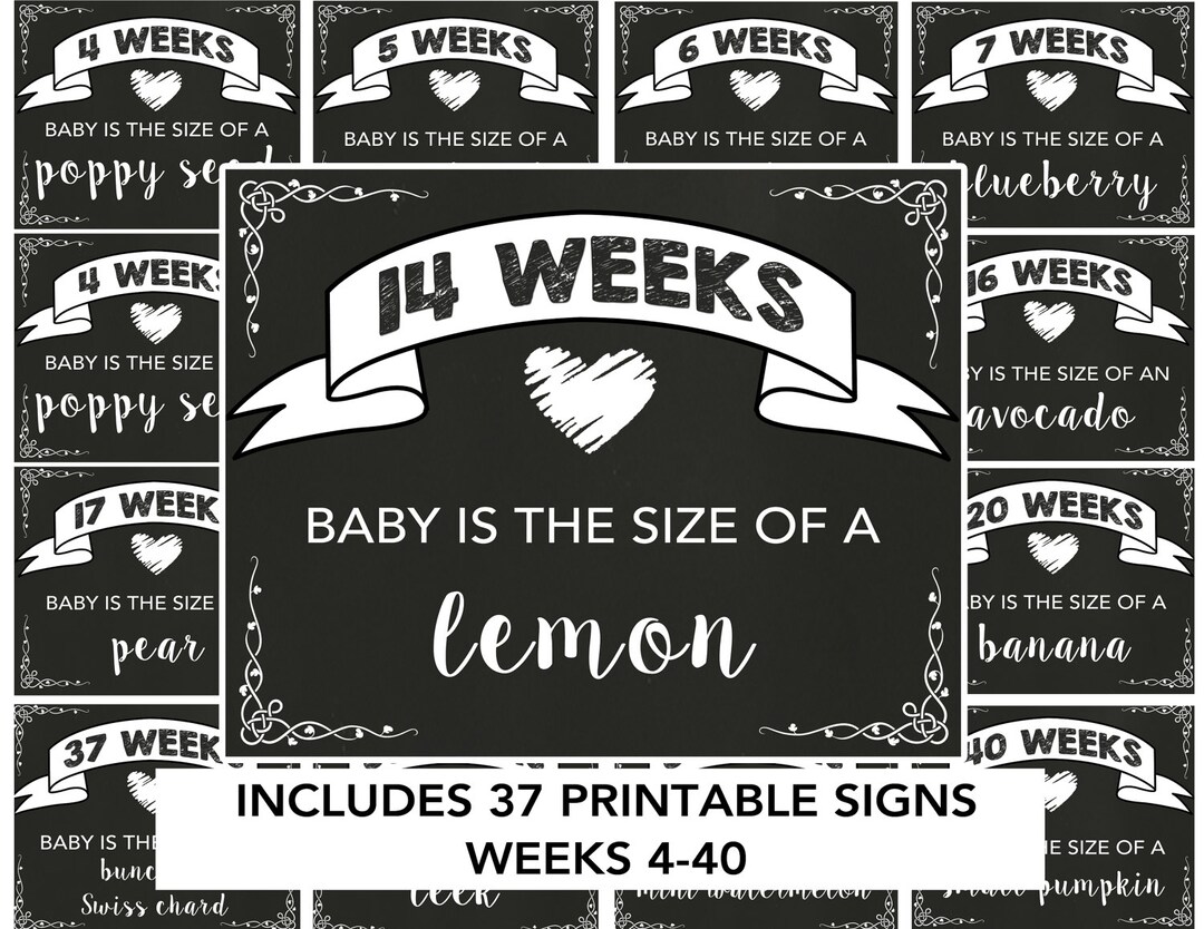Pregnancy Week by Week - Printable Pregnancy Signs - Weekly Pregnancy ...