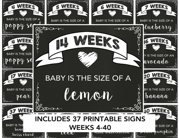 Pregnancy Week by Week Printable Pregnancy Signs Weekly - Etsy