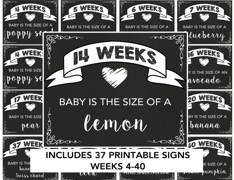 Pregnancy Week by Week - Printable Pregnancy Signs - Weekly Pregnancy ...