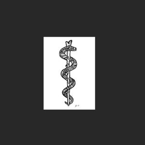 Simple Asclepius Staff