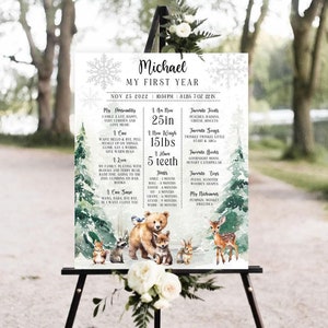 Editable Winter ONEderland Woodland Milestone First Birthday Woodland Milestone Poster Forest Animals Milestone Sign Printable Template W2