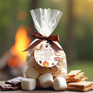 Editable Smores Birthday Thank You Tags Smore Favor Tags Smore Fun Smores Party Campfire Bonfire Stars Camping Digital Download Canva SM3