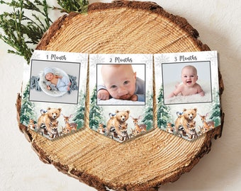 Monthly Photo Banner, Winter Woodland Month By Month, Winter Woodland First Year Photos, Winter Woodland 12 Month Photo Banner W2