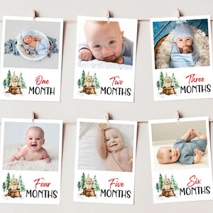 First Year Photos, Beary First Birthday Milestone Photos, Baby's First Year Month Photos, Monthly Photo Banner Red Bear Birthday Photos BR1 image 1