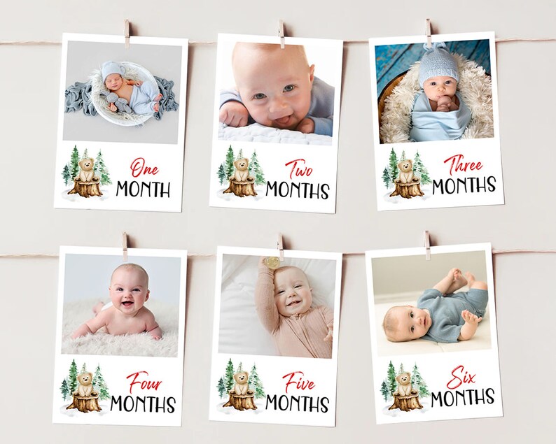 First Year Photos, Beary First Birthday Milestone Photos, Baby's First Year Month Photos, Monthly Photo Banner Red Bear Birthday Photos BR1 image 1