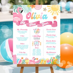 Editable One In The Sun 1st Birthday Milestone Poster Tropical Summer 1st Birthday Pool Party Milestone Stats Poster Instant Download P4