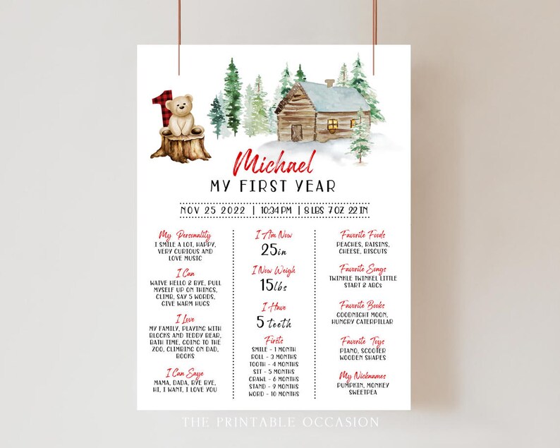 Beary First Birthday Milestone Sign Bear 1st Birthday Buffalo Plaid Milestone Board Baby First Birthday Milestone Sign 1st Birthday Bear BR1 image 1