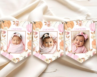 Editable Pumpkin Baby Milestone Banner Pink Pumpkin Baby Month Banner Fall Baby Photo Banner Girl Pumpkin Monthly Photo Banner Template PM1