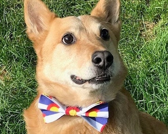 Colorado Dog Bow Tie, Colorado Flag bow tie, Colorado Bow tie , Pet collar Bow Tie, Dog Bow Tie,  Pet Bow Tie,  Bow Tie Dog Collar