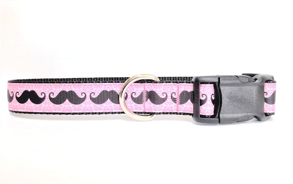 mustache dog collar