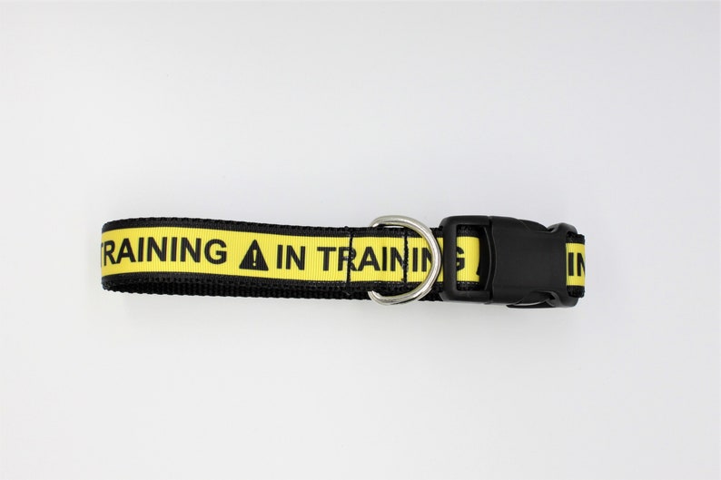 IN Training dog Collar/leash sets, Service Animal dog Collar, Emotional Support dog collar, Service dog collar , dog collars, dog collar, image 1