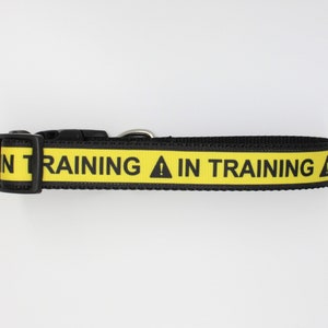 IN Training dog Collar/leash sets, Service Animal dog Collar, Emotional Support dog collar, Service dog collar , dog collars, dog collar, image 2